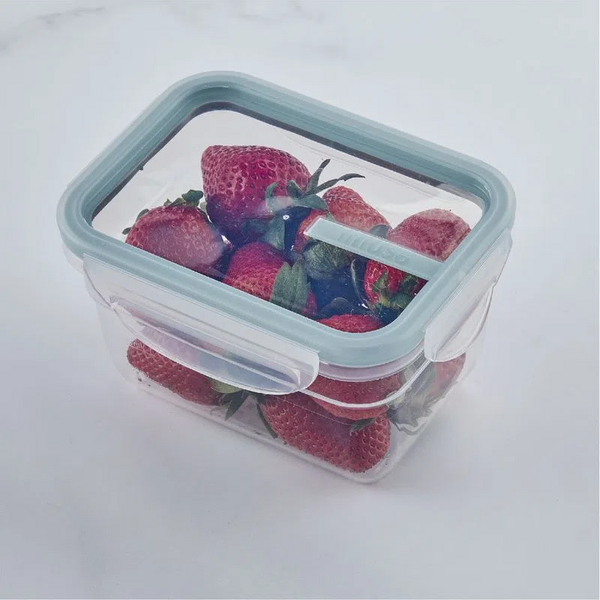 RECIPIENTE PLASTICO IMUSA 0.53 LT